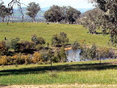 Gaddleen Grove Cottages - Accommodation Cooktown 5