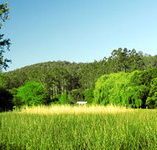 Waterholes Guest House - Accommodation Cooktown