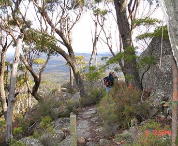 Mallacoota Hotel Motel - Accommodation Cooktown 3