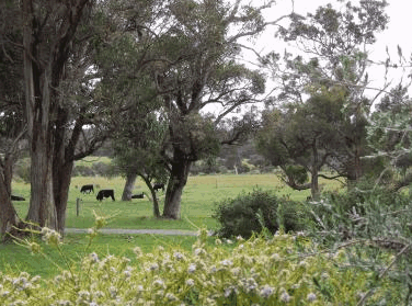 Woody Grange Chalets - Accommodation Cooktown 3