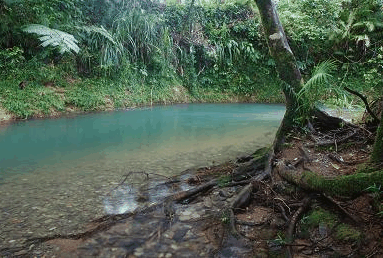 Diwan QLD Accommodation Cooktown