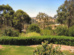 Ascot Holiday House - Accommodation Cooktown 2