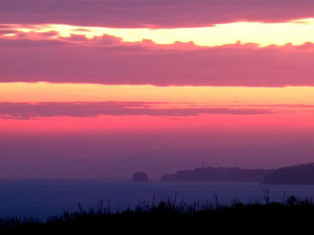 Anglesea Overboard Seaside Cottage - Accommodation Cooktown 4