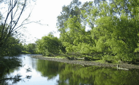 Ribbonwood Cottages - Accommodation Cooktown