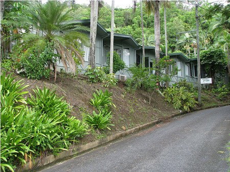 Tree Tops Lodge Cairns - Accommodation Cooktown 1