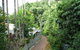 Tree Tops Lodge Cairns - thumb 2