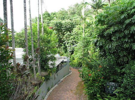 Tree Tops Lodge Cairns - Accommodation Cooktown 2