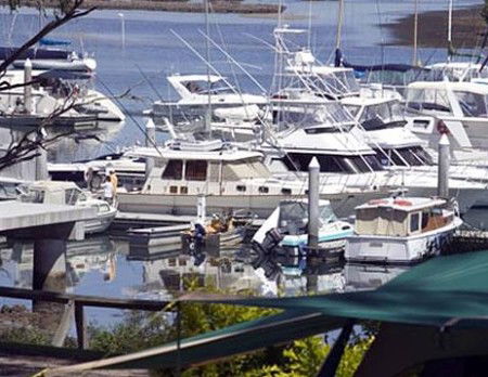 Soldiers Point Holiday Park - Accommodation Cooktown 3