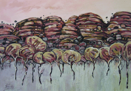 Gallery 360 - Accommodation Cooktown 3