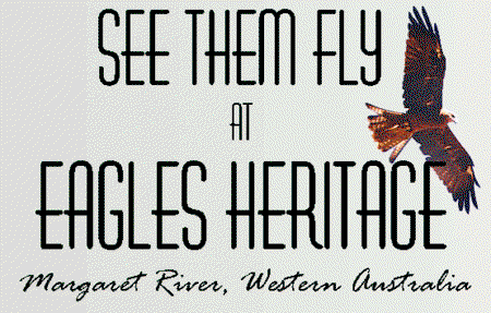 Eagles Heritage Raptor Wildlife Centre - Accommodation Cooktown 0