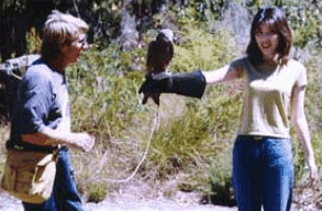 Eagles Heritage Raptor Wildlife Centre - Accommodation Cooktown 2