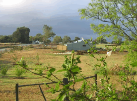 The House Of Honey - Accommodation Cooktown 2