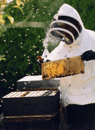 The House Of Honey - Accommodation Cooktown 3