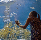 The Aquarium of Western Australia - Accommodation Cooktown