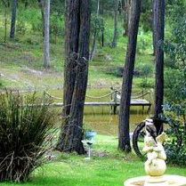 Gain Life Healing Health Retreat - Accommodation Cooktown 2