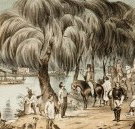 Joshua McClelland Print Room - Accommodation Cooktown