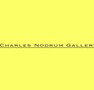 Charles Nodrum Gallery - Accommodation Cooktown