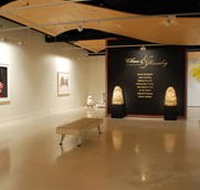 Counihan Gallery In Brunswick - Accommodation Cooktown