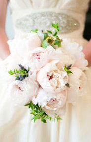 Karralyka Centre - Accommodation Cooktown 3