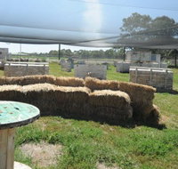 We Are Paintball - Accommodation Cooktown