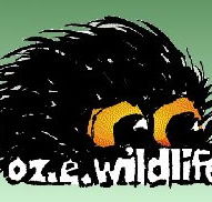 OZe Wildlife - Accommodation Cooktown