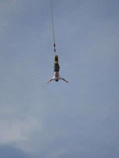 Tower Bungy Jump - Accommodation Cooktown 2