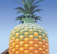 The Big Pineapple - Accommodation Cooktown
