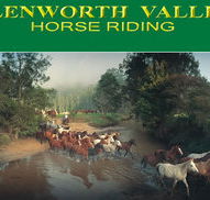 Glenworth Valley Horseriding - Accommodation Cooktown