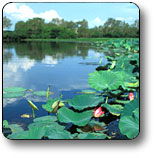 Kakadu National Park - Accommodation Cooktown 3