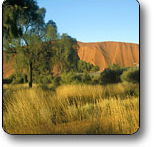 Uluru - Kata Tjuta National Park - Accommodation Cooktown