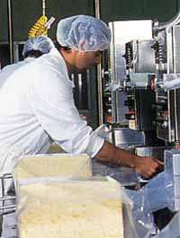 Allansford Cheese World - Accommodation Cooktown 1