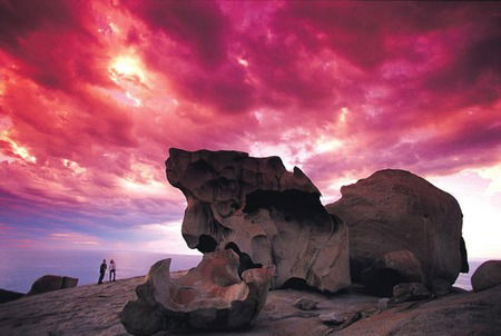 Kangaroo Island Adventure Tour 2 Day/1 Night - Accommodation Cooktown 0