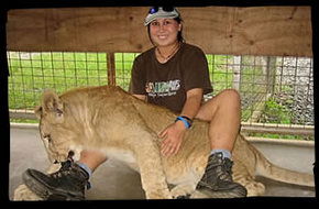 Cairns Wildlife Safari Reserve - Accommodation Cooktown 1