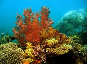 North West Cape WA Accommodation Cooktown