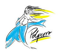 Polperro Dolphin Swims - Accommodation Cooktown 0