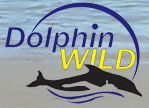 Dolphin Wild - Accommodation Cooktown 0