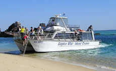 Dolphin Wild - Accommodation Cooktown 2