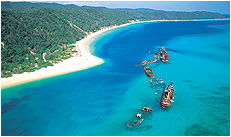 Dolphin Wild - Accommodation Cooktown 3