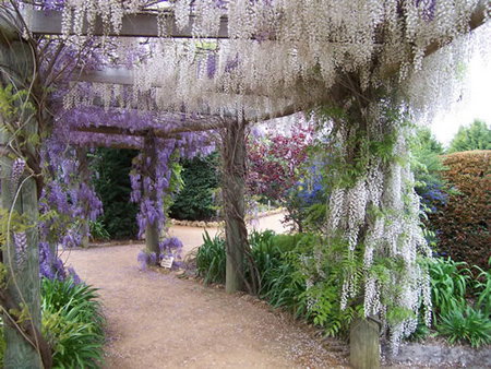 Abingdon Miniature Village - Accommodation Cooktown 0