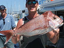 Sunshine Coast Fishing Charters - Accommodation Cooktown 2