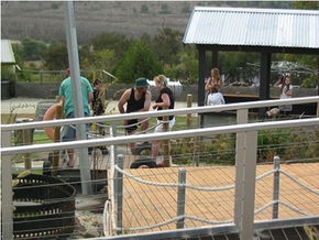 Magill SA Accommodation Cooktown