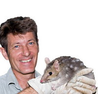 Geckoes Wildlife Presentations - Accommodation Cooktown