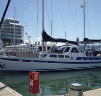 Coral Sea Dreaming Dive and Sail - Accommodation Cooktown