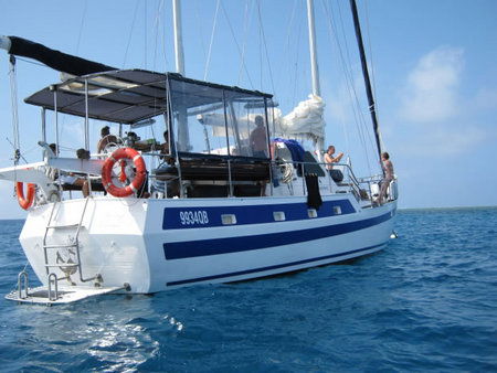 Coral Sea Dreaming Dive And Sail - Accommodation Cooktown 3