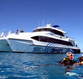 Silver Swift - Accommodation Cooktown