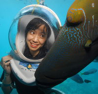 Sunlover Reef Cruises - Accommodation Cooktown