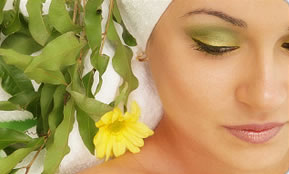 Indica Spa - Accommodation Cooktown 1