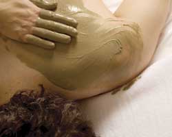 Alkaline Spa & Clinic - Accommodation Cooktown 2