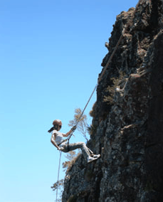 Adventures Around Brisbane - Accommodation Cooktown 1