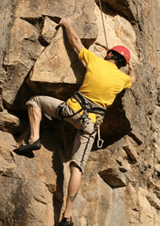 Adventures Around Brisbane - Accommodation Cooktown 3